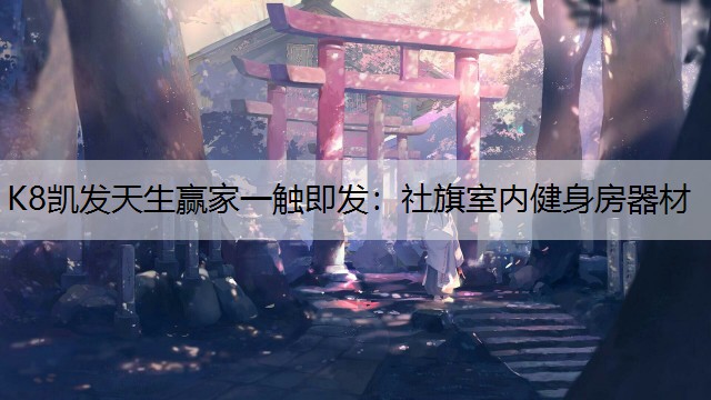 K8凯发天生赢家一触即发：社旗室内健身房器材