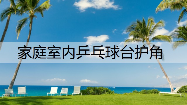 家庭室内乒乓球台护角
