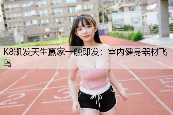 K8凯发天生赢家一触即发：室内健身器材飞鸟