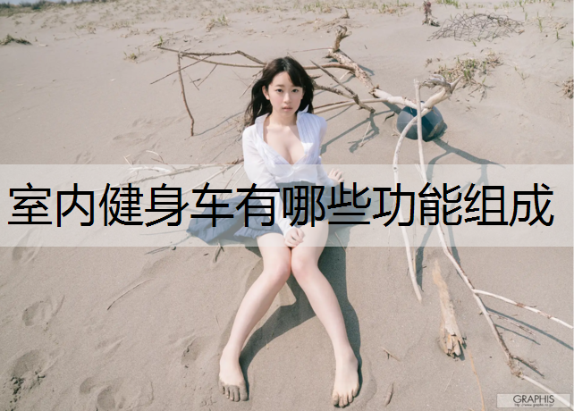 室内健身车有哪些功能组成