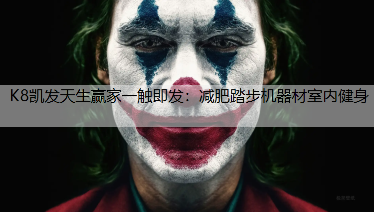 K8凯发天生赢家一触即发：减肥踏步机器材室内健身