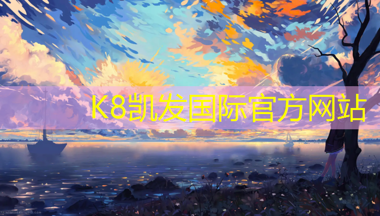 K8凯发中国官方网站：网球网报价单