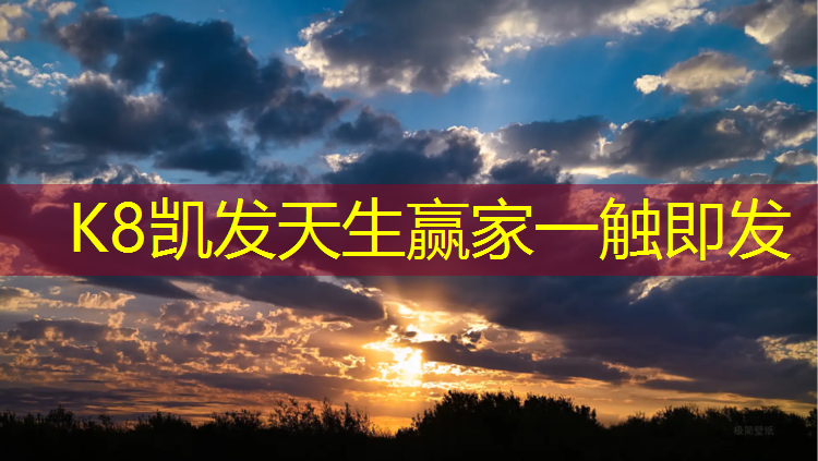 k8凯发官网入口：沈丘塑胶跑道