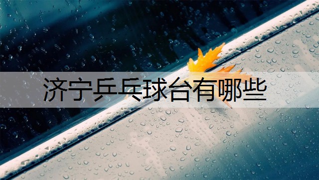济宁乒乓球台有哪些