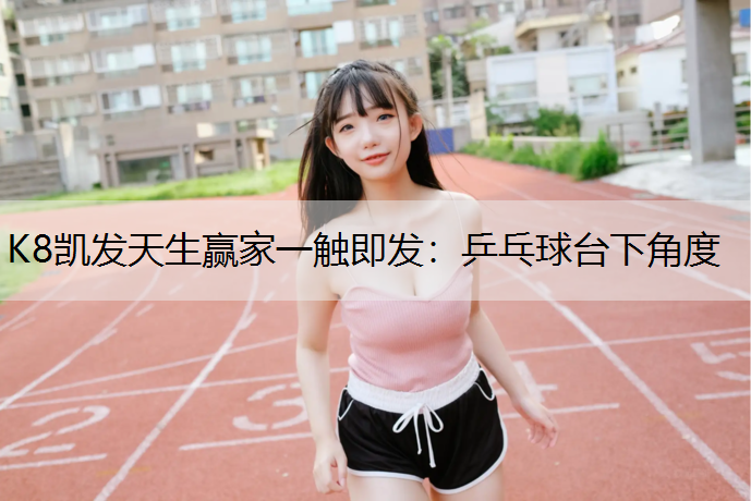 乒乓球台下角度