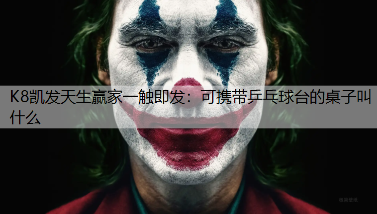 可携带乒乓球台的桌子叫什么
