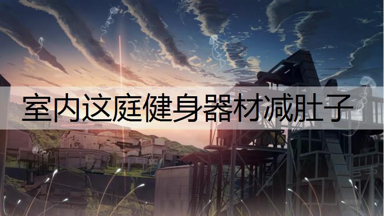 室内这庭健身器材减肚子