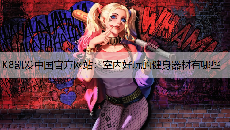 室内好玩的健身器材有哪些