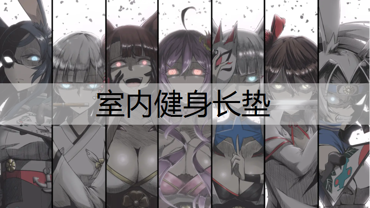 室内健身长垫