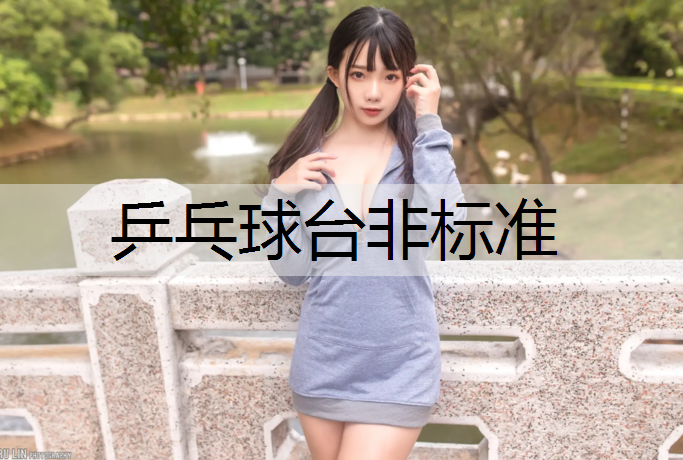 乒乓球台非标准 乒乓球台非标准