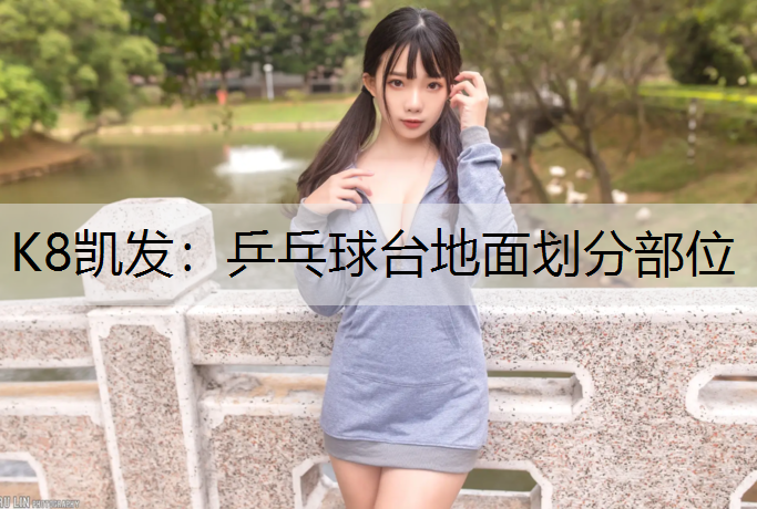 乒乓球台地面划分部位
